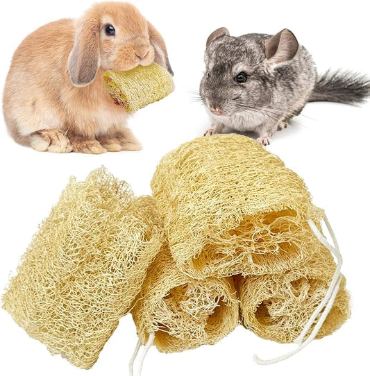 BNOSDM Bunny Chew Toys Natural Loofah 4PCS Bunny Teeth Grinding Toy Rabbit Fiber-Rich Treats Pet Entertainment Accessories for Rabbits Chinchillas Guinea Pig（M）
