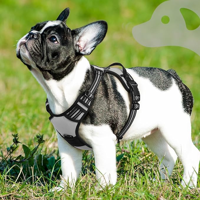 Eagloo Dog Harness Small Sized Dog, No Pull Service Vest with Reflective Strips and Control Handle, Adjustable and Comfortable for Walking, No Choke Pet Harness with 2 Metal Rings, Grey, S