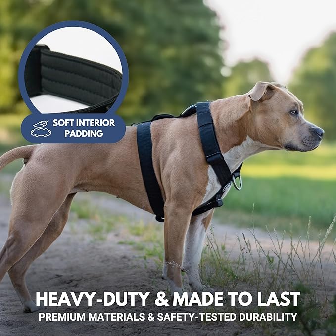 Spark Paws No Pull Dog Harness for Large Dogs, Heavy Duty Dog Harness for Big Strong Breeds, Adjustable, Y Shaped Padded Halter Design with Front Clip - Black - L