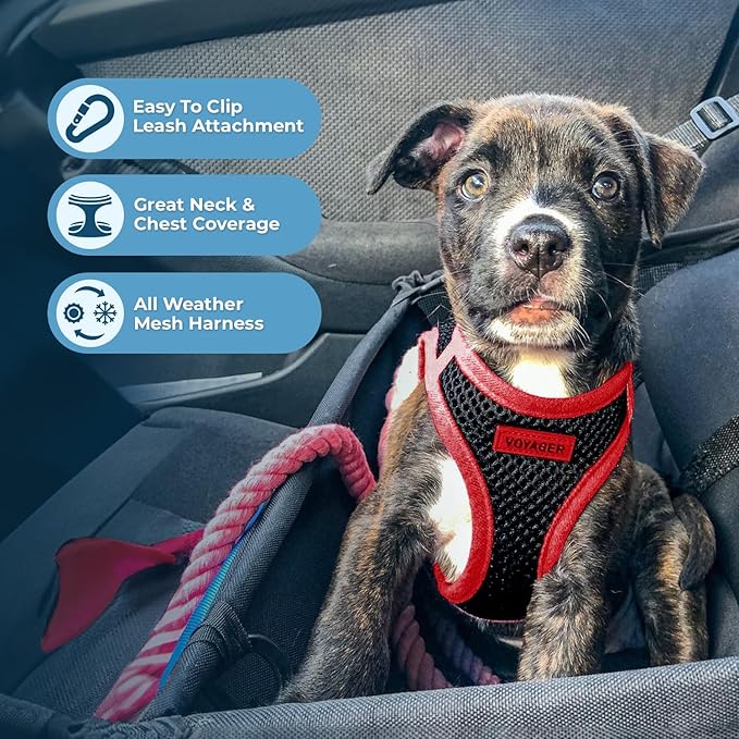Voyager Step-in Air All Weather Mesh Harness and Reflective Dog 5 ft Leash Combo with Neoprene Handle, for Small, Medium and Large Breed Puppies by Best Pet Supplies - Red Trim, M