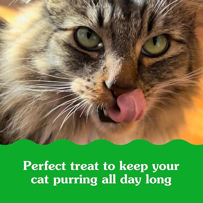 Greenies Feline Smartbites Skin & Fur Crunchy and Soft Cat Treats, Salmon Flavor, 2.1 oz. Pack