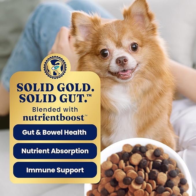 Solid Gold Toy & Small Breed Dry Dog Food Small Bites – Real Chicken, Grain Free Gluten Free, High Fiber Healthy Kibble w/Probiotics for Gut Health & Digestion Support – NutrientBoost™ – 3.75LB