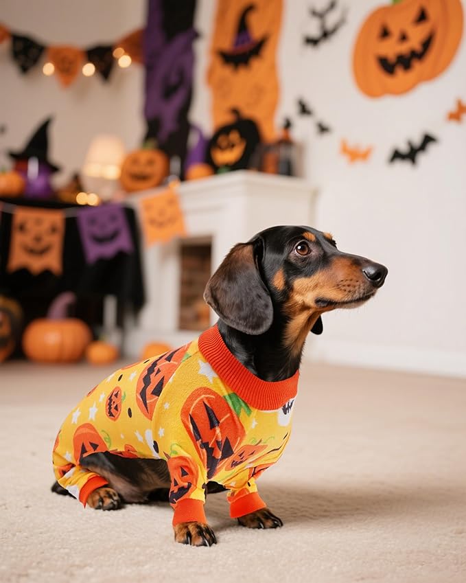 PET SHOW 4 Pack Halloween Small Dog Pajamas for Medium Dogs Onesie Pumpkin Ghost Soft Fleece Stretchy Jumpsuit Costume Boy Girl Pets PJs with Sleeve Clothes(M)
