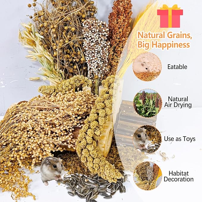 Natural Hamster Flower & Herb Habitat Deocr, Hamster Sprays Herbs Bedding Mate, Hamsters Cage Enrichment Decoration Accessories for Gerbil Dwarf Syrian Hamsters Guinea Pig Mice or Small Animals