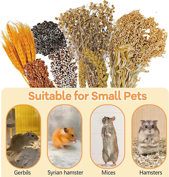 Natural Hamster Flower & Herb Habitat Deocr, Hamster Sprays Herbs Bedding Mate, Hamsters Cage Enrichment Decoration Accessories for Gerbil Dwarf Syrian Hamsters Guinea Pig Mice or Small Animals