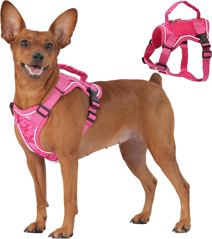 Dog Harness and Leash Set, Small Sized No Pull Pet Harness with Control Handle, Adjustable Tactical Harness for Small Medium Dogs Cats, Reflective Puppy Harness for Walking Hiking Training