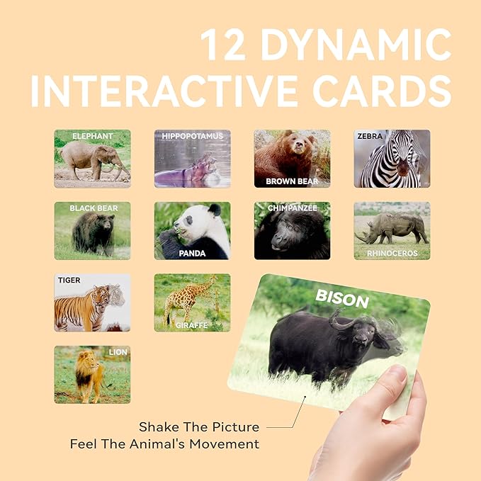 Dotimo Mini Zoo Animals Toys for Kids, 12 Sets of Realistic Wild Animal Figures with 3D Introduction Flash Cards, Montessori Toys, Science Educational Matching Game for Preschool & Toddler 3-5