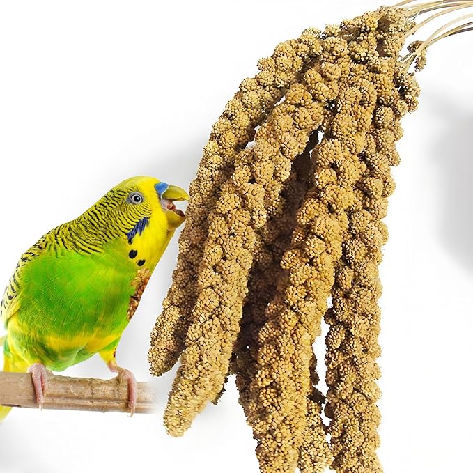 Fhiny Millet Spray for Birds 4.4LB Natural Sun-Dried Millet for Birds Original Parakeet Food & Treats Spray for Parakeets Parrots Cockatiels Lovebirds Finches Budgies Hamsters