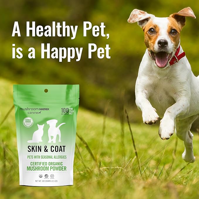 Om Mushroom Matrix Pet - Canine | Skin & Coat | USA Grown Human-Grade Organic Mushroom Powder Pet Supplement | Seasonal Allergy Skin & Coat Support for Dogs & Cats | 100 Grams, 3.5 oz