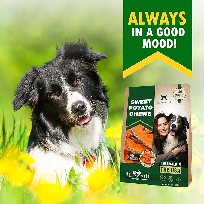 Dog Treats Sweet Potato Chips 10.6 oz - All Natural Pet Snack Chews - Grain Free & Human Grade Dried Snacks in Bulk - Best Jerky for Training Small & Large Dogs