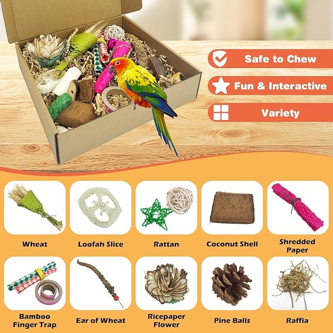 PINVNBY Natural Bird Toys Bird Foraging Box Interactive Parrot Shredding and Chewing Toy for Conure Parakeet Budgie Cockatiel Lovebird Small-Medium Birds (Large)