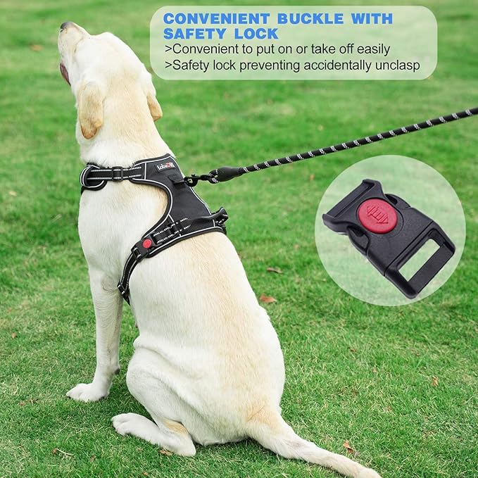 No Pull Dog Harness Adjustable Reflective Oxford Easy Control Medium Large Dog Harness with A Free Heavy Duty 5ft Dog Leash (S (Neck: 14"-17", Chest: 18.5"-20"), Black/Blue Harness+Leash)
