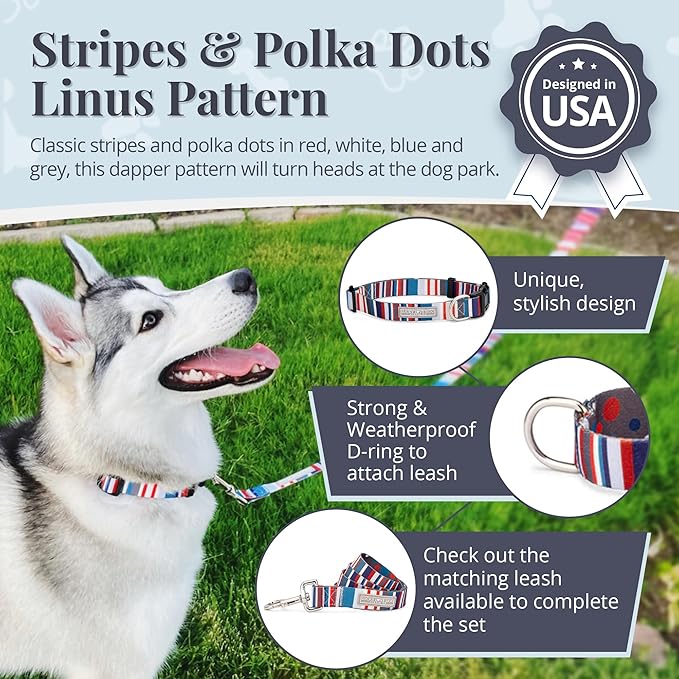 Lucky Love Dog - Adjustable Dog Collar with Easy Click Buckle for Small to Large Dogs, Durable, & Comfortable for Male & Female Dogs, Pet Collar for Puppies & Adult Ones - Linus, Small