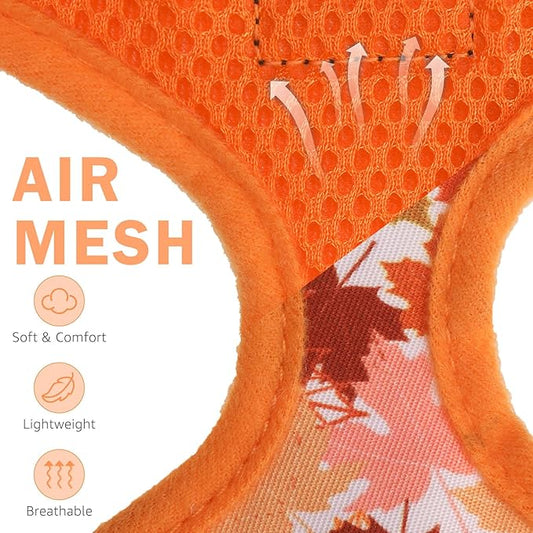 SCENEREAL Fall Dog Harness Collar and Leash Set for Small Dogs, Orange Leaf No Pull Dog Harnesses, Adjustable Step in Pet Vest for Doggie Puppy Cats Walking Outdoor, Chihuahua Yorkie Harness S