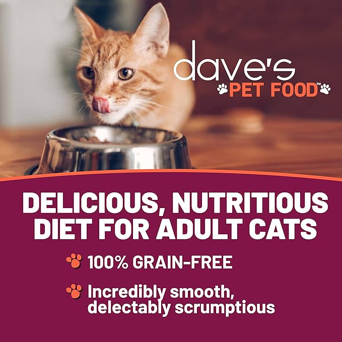 Dave's Pet Food Grain Free Wet Cat Food (Chicken & Lamb Dinner Pate), Made in Canada Naturally Healthy Canned Cat Food, Added Vitamins & Minerals, Wheat & Gluten-Free, 5.5 oz Cans (Case of 24)