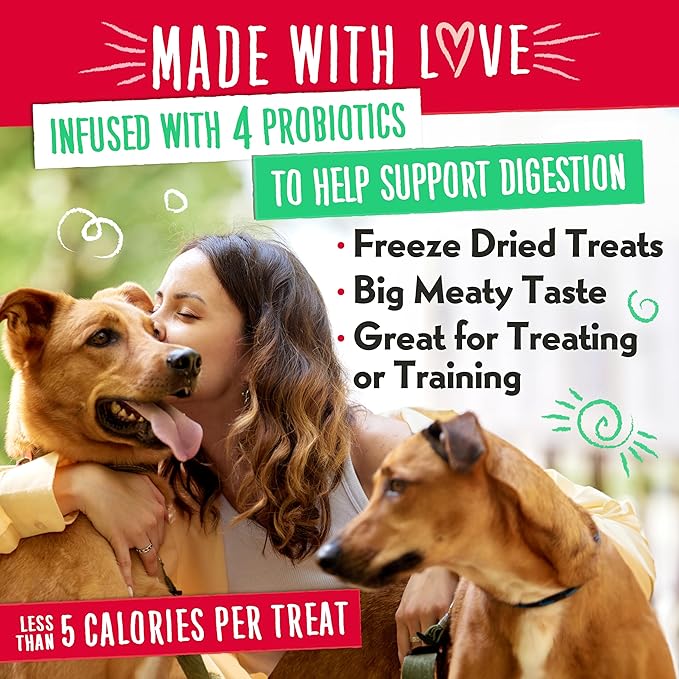 Charlee Bear Grain Free Meaty Bites Freeze Dried Dog Treats with Probiotics, Puppy Training Snacks, Soft Dog Bites Chicken with Blueberries, 2.25 oz Bags (2), Made USAA