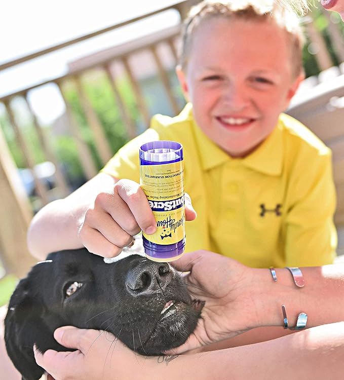 SnoutScreen Dog Nose Balm and Paw Balm, Moisturizing Formula for Dry or Cracked Noses, Vet Recommended, Made in USA, Protects Against UVB and UVC Rays, 2 oz