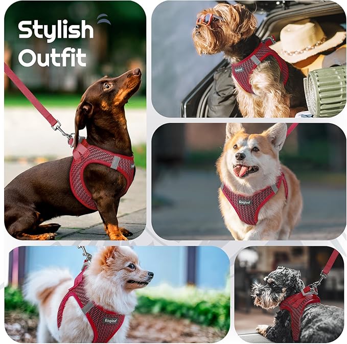 Eagloo Small Dog Harness and Leash Set, Step in Puppy Vest with Breathable Soft Mesh, Walking Reflective Pet Harness for Medium Small Dogs, Red, L