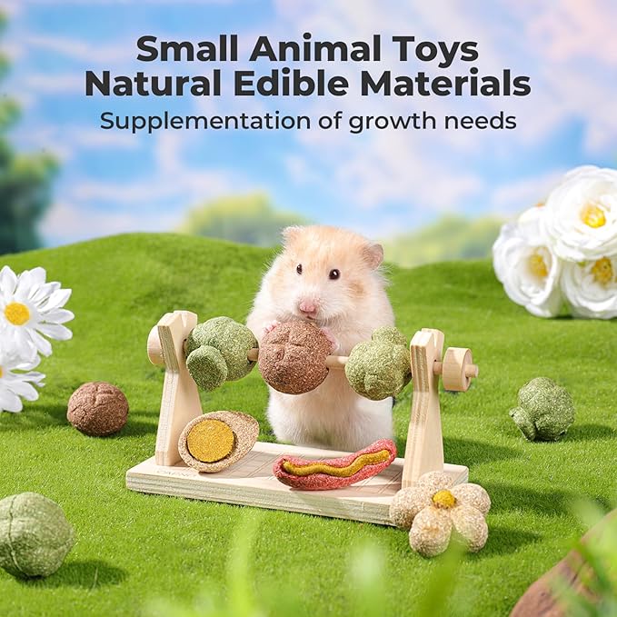mini&moe Hamster Chew Toys for Teeth - Guinea Pig Chews and Treats Natural Hamster Enrichment Toys Improve Dental Health for Rat, Bunny, Chinchilla, Gerbils and Small Animal
