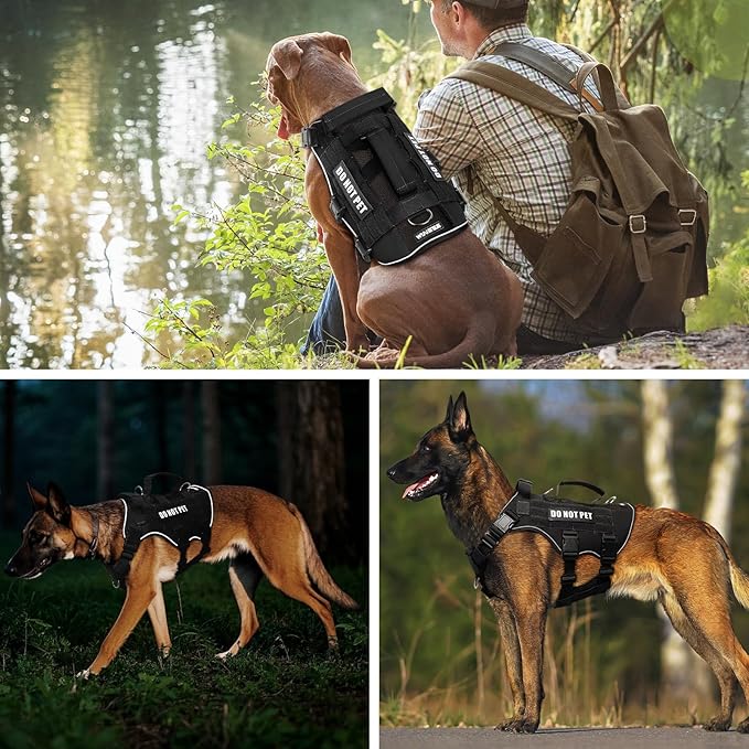 WINSEE Mesh Dog Harness with 10 Pet Patches for Large Service Dog in Training, Breathable Tactical Molle Vest with Double Handle, Reflective Military Pet Vest for Walking Hiking