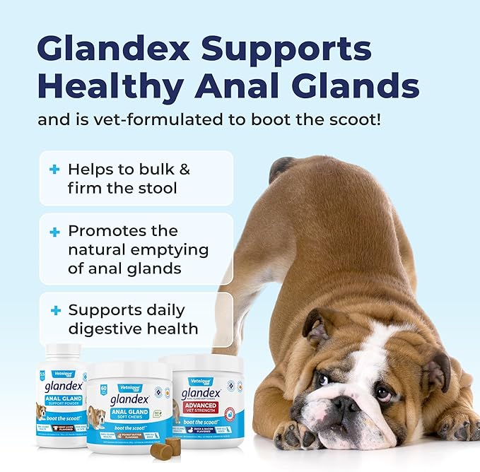 Vetnique Glandex Dog Fiber Supplement Powder for Anal Glands with Pumpkin, Digestive Enzymes & Probiotics - Vet Recommended (Regular or Advanced Strength) - Boot The Scoot (4.0 oz, Salmon)
