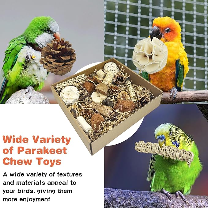 PINVNBY Bird Toys Natural Parrot Shredding Toy Interactive Bird Foraging Box and Chewing Toys for Conure Parakeet Budgie Cockatiel Lovebird Small-Medium Birds (Large)