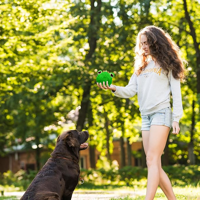 Flourish Pets 2 in 1 Multi-Layer Chew Toy for Active Dogs | Non-Toxic BPA Free Double Stitched Soft Fabric Exterior Dog Toys | Long-Lasting Dog Plush Toys – Love Frog 3.5"