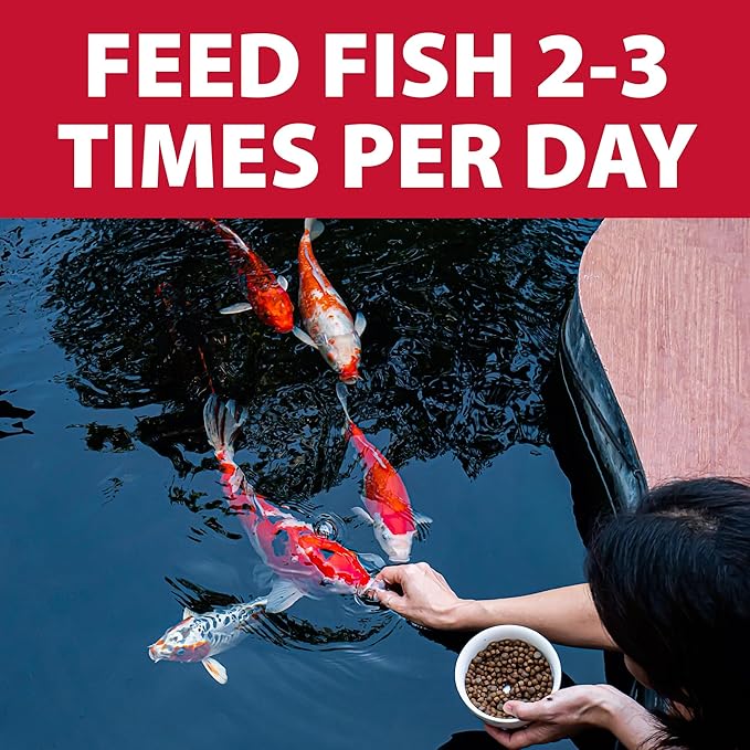 The Pond Guy Staple Fish Food for Backyard Koi & Goldfish, Choice Floating Pellets for Fish Wellness & Health, Smart Nutrition for Clean Ponds, 12 lbs