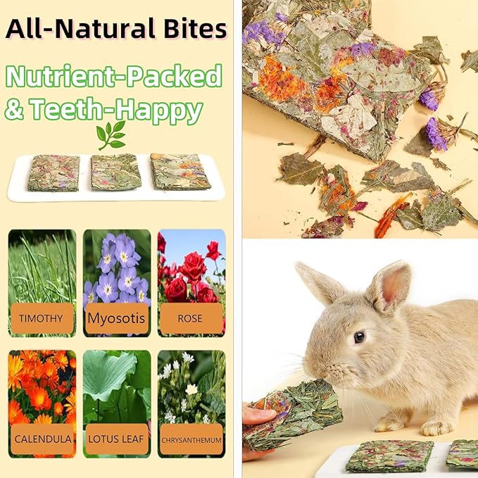 Rabbit Toys 10pcs 2 in 1 Bunny Crisp Treat Guinea Pig Chew Snack for Cleaning Teeth Enrichment Timothy Hay Chips Hamsters Molar Food for Chinchilla Gerbil Rat Indoor Dental Care Boredom (4+6)