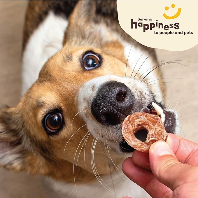 Pet 'n Shape Chik 'n Rings – Natural Chicken Breast Jerky Dog Treats, 2 Pound
