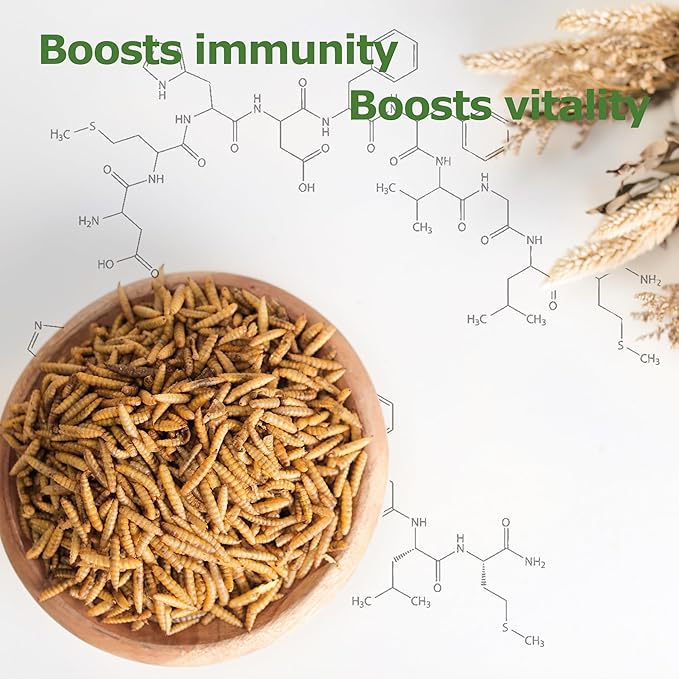 1LB Dried Black Soldier Fly Larvae, Non-GMO & Nutrient-Packed Chicken Feed, Strong Egg Production and Health, Rich in Calcium for Healthy Hens and Ducks, Better Than Dried Mealworms