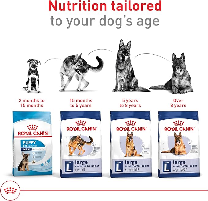 Royal Canin Size Health Nutrition Large Adult Dry Dog Food, 30 lb Bag
