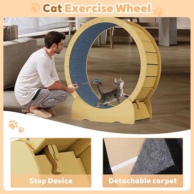 45'' Cat Exercise Wheel for Indoor Cats, Cat Running Treadmill Wheel with Detachable Carpet & Toy for Running/Walking/Training, Suitable for Most Cats
