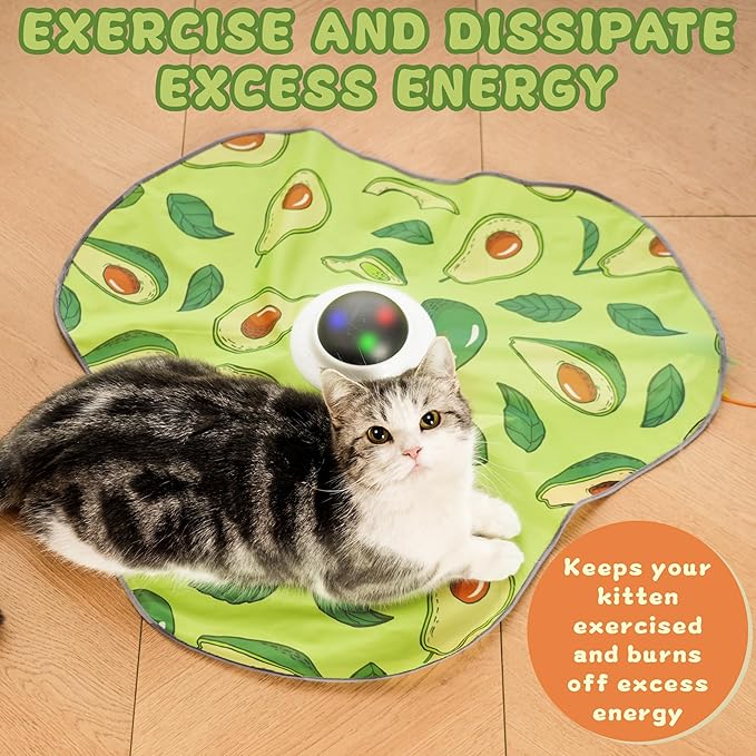 Interactive Cat Toy, Automatic Cat Toys for Indoor Exercise, Hide and Seek Toy with Motion Activated, Moving Concealed Feather, USB Rechargeable