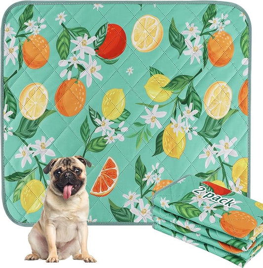 BVAGSS Washable Pee Pads for Dogs, 2 Pack Reusable Leakproof Puppy Wee Wee Pad, Non-Slip Waterproof Pet Training Pads, Super Absorbent Whelping Pads XH081 (Green Lemon, 30X20 Inch (Pack of 2))