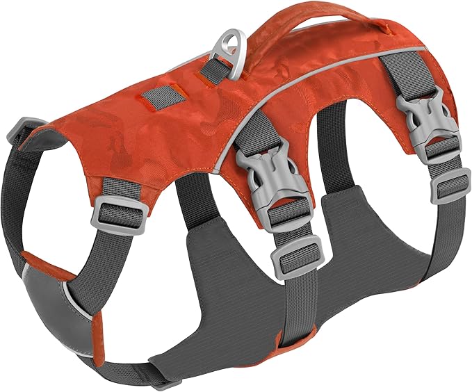 Escape Proof Dog Harness with Handle - Reflective No Pull Dog Vest, Lightweight Full Body Pet Harness Adjustable for Small Dogs Walking,Training(Blue,Chest:14-22")