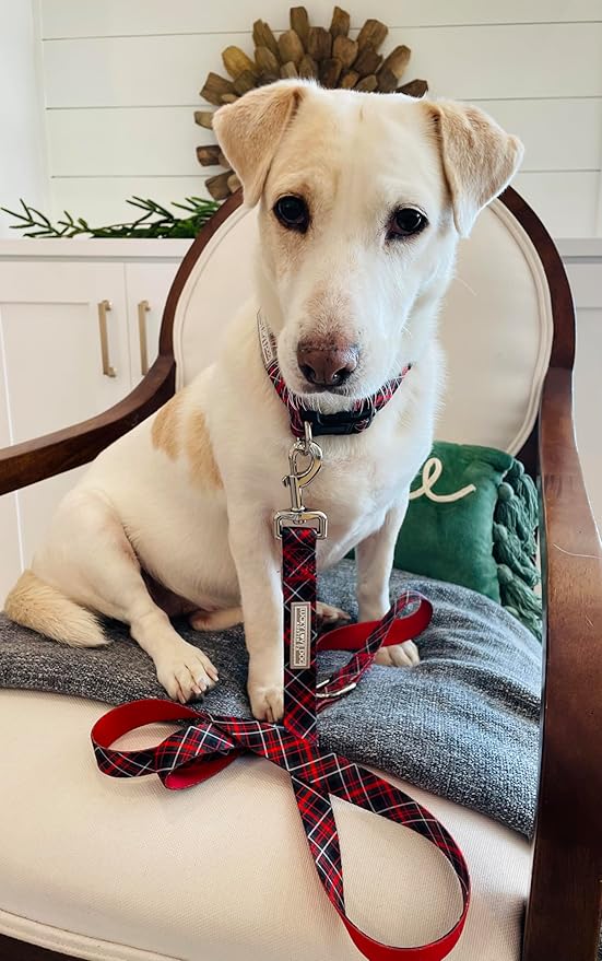 Lucky Love Dog - Easy Click Buckle Dog Collar with Leash Set Combo, Durable & Comfortable for Male & Female Dogs, Pet Collar for Small to Large Dogs, Secure Fit - Heywood Combo, Small