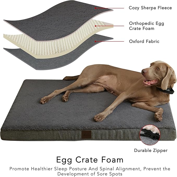 DaysU Dog Bed for Medium Dogs, Orthopedic Dog Beds with Removable Washable Cover, Medium Egg Crate Foam Pet Bed Mat, Dark Grey, Suitable for Dogs Up to 35 Ibs, 35x22x3in