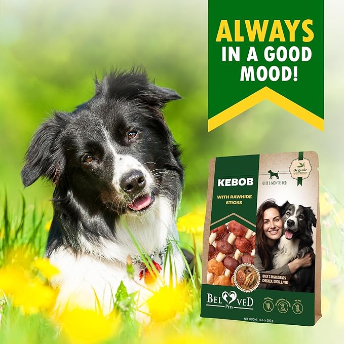 Dog Treats Rawhide Kabobs with Duck & Chicken Human Grade Meat 10.6 Oz - All Natural & Dried Snacks - Grain Free Long Lasting Chews for Large & Small Dogs - Best Sticks for Training