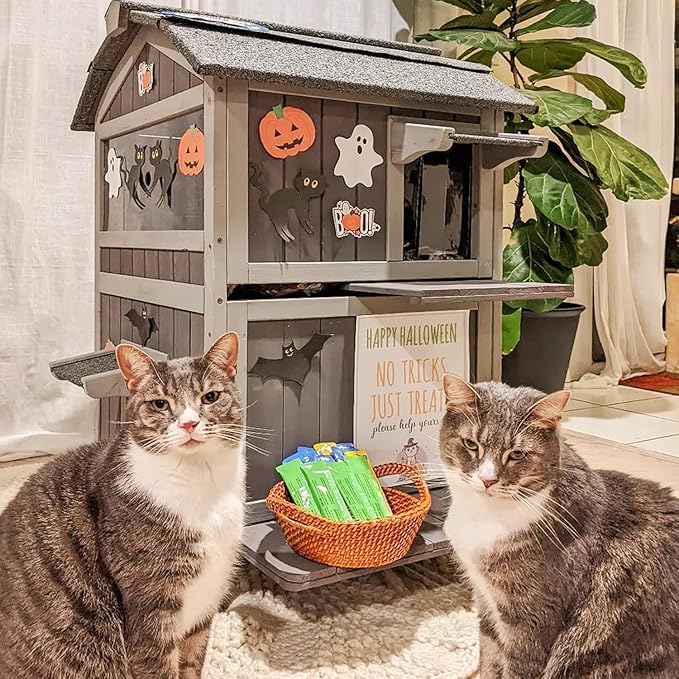 Aivituvin Outdoor Cat House Insulated Two Story Feral Cat Shelter Weatherproof Cat Enclosure for Winter with Escape Doors