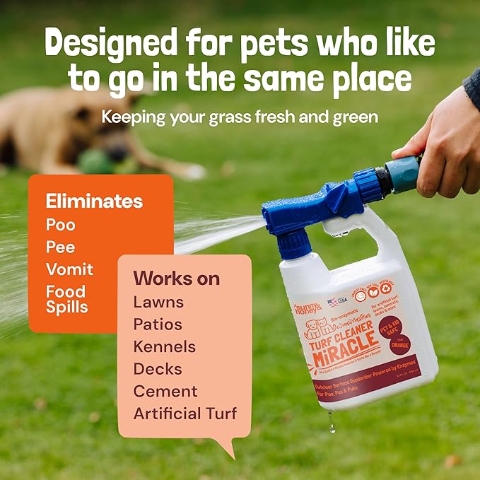 Sunny & Honey Outdoor Turf Cleaner - 32 Fl Oz - Pet Urine Enzyme Cleaner - Dog Urine Neutralizer for Grass - Long-Lasting Orange Scent & Yard Sprayer Ready