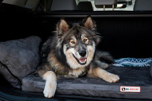 Barker Beds Orthopedic Dog Bed for SUV (Medium, Charcoal) - Memory Foam Travel Mattress for Medium Dogs - Machine Washable Cover & Headrest - Joint Support - Made in USA