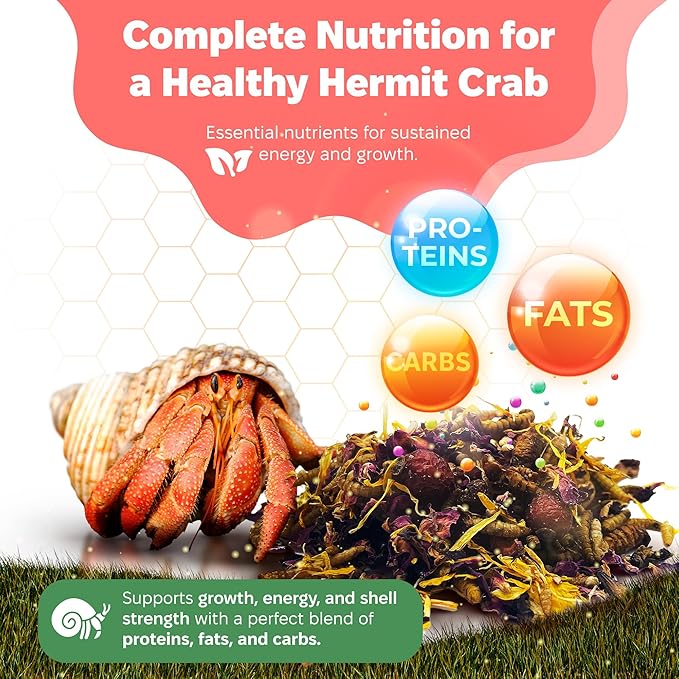Bugs and Blooms Hermit Crab Food - 1 oz - 30 Grams - Whole Food Diet for Hermit Crabs - Seeds, Bugs and More by Snout and Shell