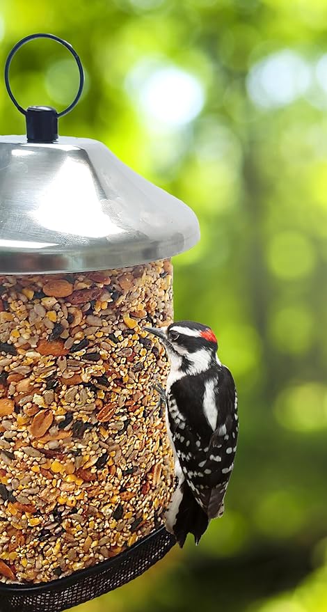 Songbird Treats Seed Towers| 1.5-2 lb Large Seed Log Towers for Wild Birds (Nutty's Berries)