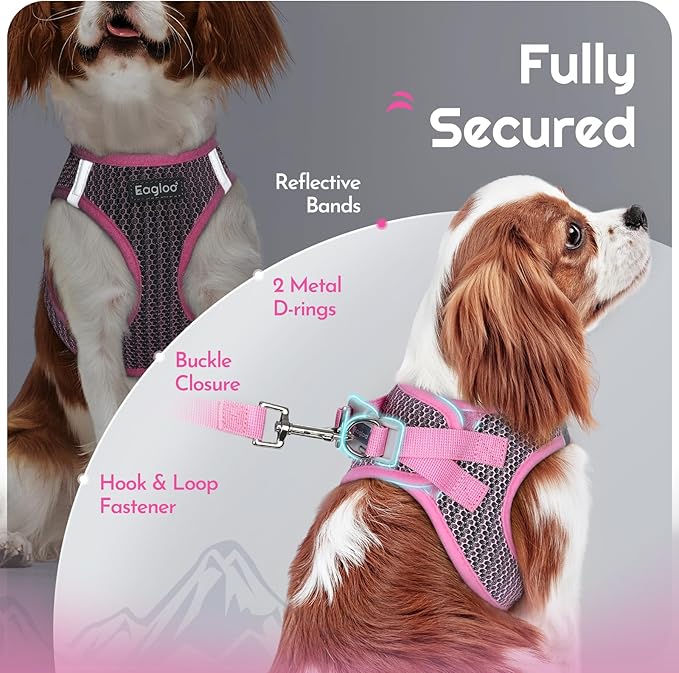 Eagloo Small Dog Harness and Leash Set, Step in Puppy Vest with Breathable Soft Mesh, Walking Reflective Pet Harness for Small Dogs, Pink, XS