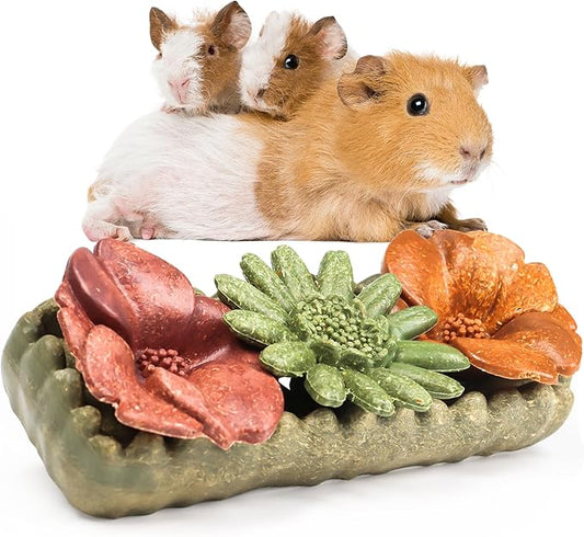 TEEWY 4PCS Guinea Pig Chew Toys, Prevent Teeth Overgrowth, Natural Timothy Grass & Vegetables, Hamster Chew Toys, Guinea Pig Toys, Chinchilla Toys, Grass Patch & Flowers