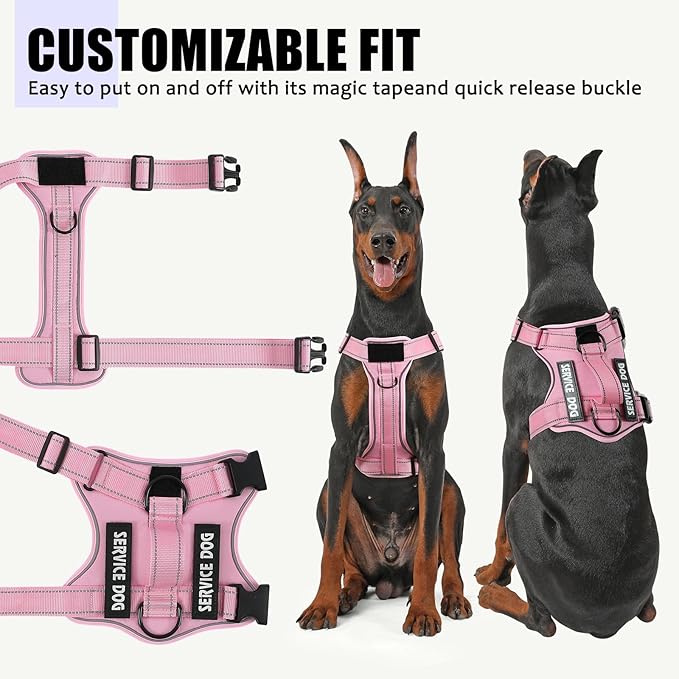Demigreat Reflective Dog Vest Harness with 5 PCS Patches, Adjustable Soft Oxford Pet Harness, Inner Layer Mesh, Prevent Pulling and Choking, Easy to Control for Small Medium Large Dogs