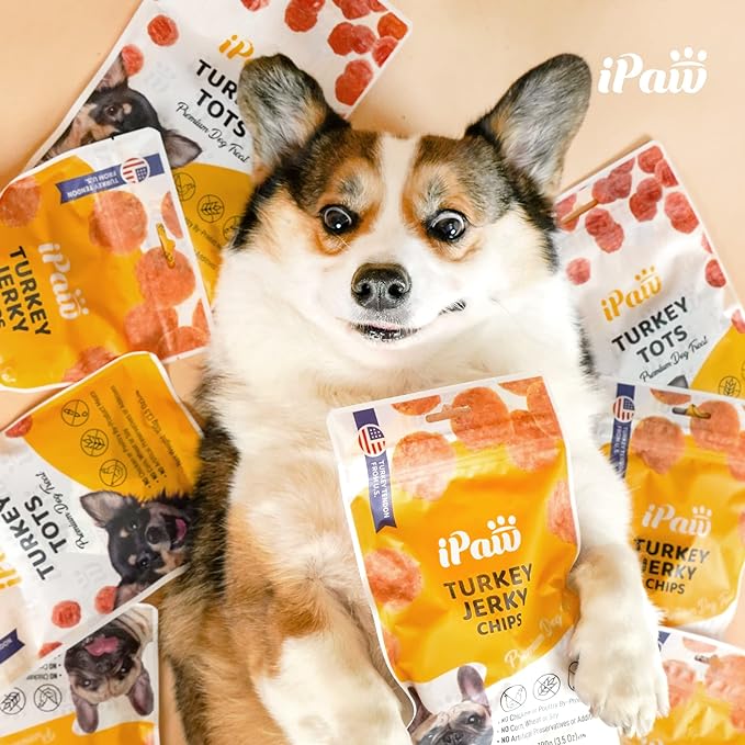 iPaw Turkey Chips Dog Treats for Puppy Training, All Natural Human Grade Dog Treat, US Sourced Raw Material, Hypoallergenic, Easy to Digest (Turkey Chips), 2 Packs