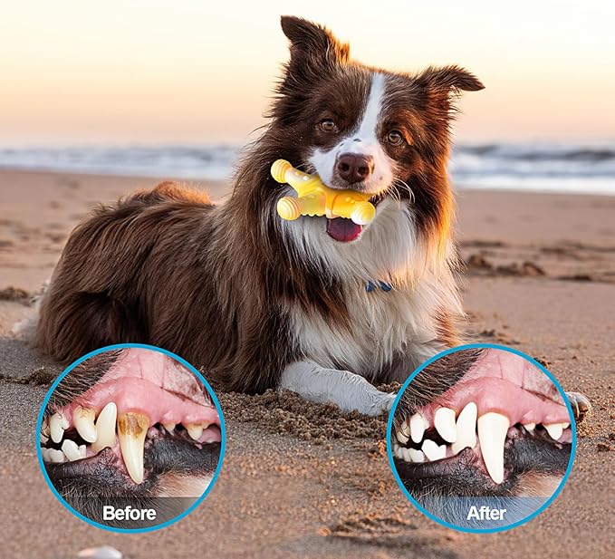 Dog Toys 3 Pack, Indestructible Toys for Aggressive Chewers, Tough Dog Chew Toys for Large Medium Breed, Dog Bones Chew Toys for Super Chewer