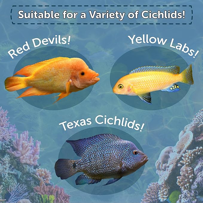 Aquatic Foods Inc. Cichlid Green Growth & Red Color Enhancing Flakes for Cichlids, Central & South American Cichlids, 4-Type Wafer Mix & 12-Type Pellet Mix Included...2.65oz Canister